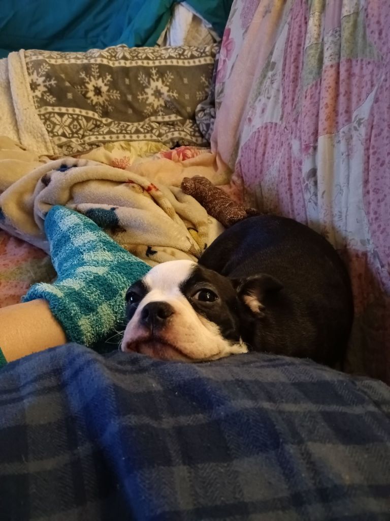 img_20260117_1801019035144844804102660