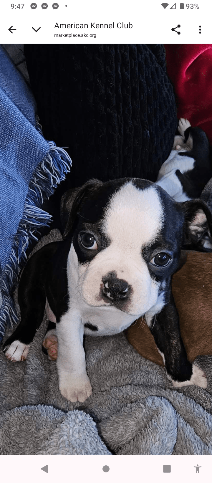 screenshot_20260108-0947332932561514028325686